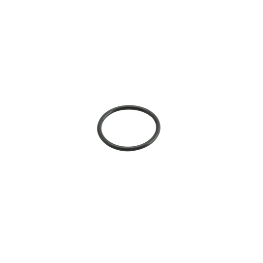 O-Ring (29.82 x 2.62 mm) - FAAC 7090380025