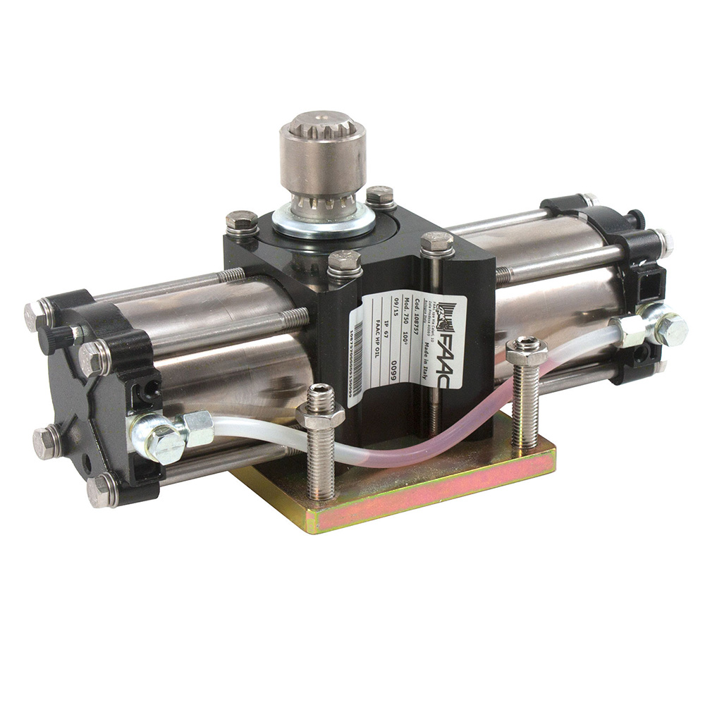 750 CBAC In-Ground Hydraulic Pump Motor Assembly with Enclosure